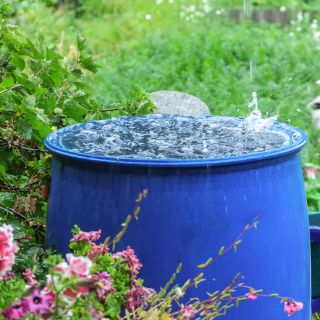 Trucos: Así puedes aprovechar el agua de lluvia recolectada