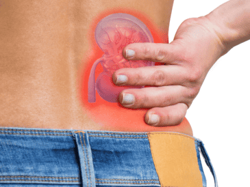 El IMSS hace un llamado a los derechohabientes a cuidar de su salud renal mediante acciones preventivas como tener una buena alimentación. ESPECIAL / CANVA