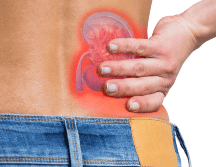 El IMSS hace un llamado a los derechohabientes a cuidar de su salud renal mediante acciones preventivas como tener una buena alimentación. ESPECIAL / CANVA