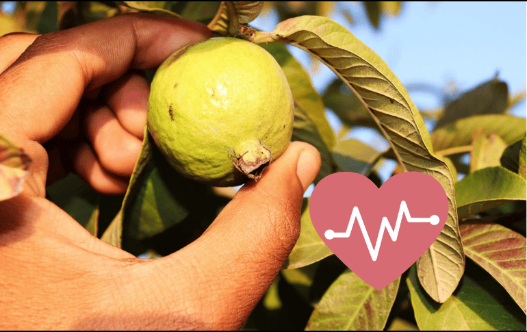 Una sola porción puede aportar hasta el 12% de la ingesta diaria recomendada de fibra. ESPECIAL