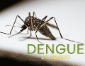 Las autoridades sanitarias anunciaron recientemente el reforzamiento de la estrategia de prevención contra el dengue. ESPECIAL