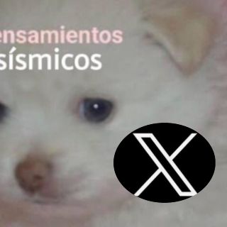 Se registran microsismos en la Ciudad de México y los memes no se hicieron esperar