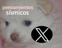 Después de los microsismos registrados en la Ciudad de México, usuarios de X no dejaron pasar el evento y compartieron los mejores memes. X / @esquinaextrema