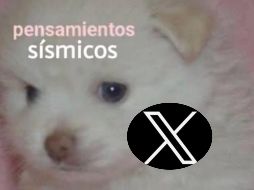 Después de los microsismos registrados en la Ciudad de México, usuarios de X no dejaron pasar el evento y compartieron los mejores memes. X / @esquinaextrema