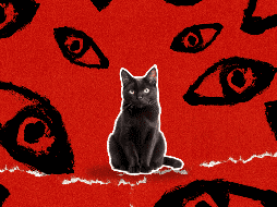 No todos les caemos bien a los gatos (y ellos tampoco lo disimulan). ESPECIAL / Canva