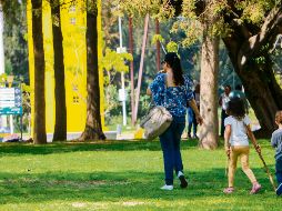 La ciudad ofrece distintos espacios para disfrutar las tardes a la sombra de los árboles. EL INFORMADOR