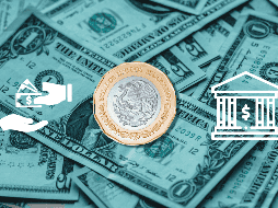 El tipo de cambio FIX, publicado por el Diario Oficial de la Federación (DOF), tiene un precio fijo de 19.0898 pesos por dólar para este viernes. ESPECIAL / EL INFORMADOR