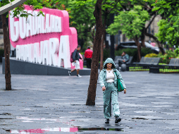 EL INFORMADOR / A. Navarro