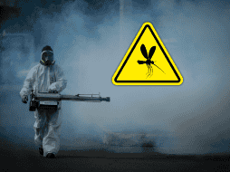 Jalisco es líder en casos de dengue en México con 706 contagios hasta el 29 de mayo, más de 100 por arriba del segundo lugar, Veracruz. EL INFORMADOR / ARCHIVO