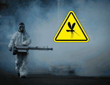 Jalisco es líder en casos de dengue en México con 706 contagios hasta el 29 de mayo, más de 100 por arriba del segundo lugar, Veracruz. EL INFORMADOR / ARCHIVO