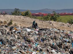 Entre 2019 y 2024 la Procuraduría Estatal de Protección al Ambiente ha clausurado 17 vertederos; actualmente su principal preocupación es el de Huaxtla, en El Arenal. EL INFORMADOR/Archivo