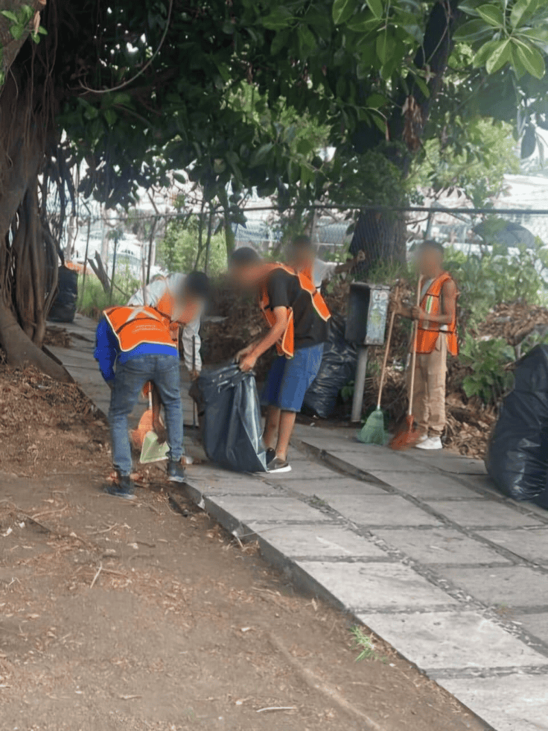 La multas por arrojar basura a la calle van desde los dos mil 263 pesos hasta los 226 mil 280 pesos. ESPECIAL
