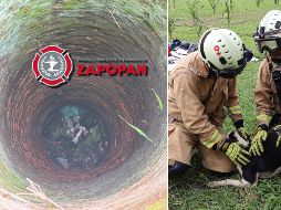 Bomberos de Zapopan rescataron a un perro que había caído en un pozo en un predio. ESPECIAL / X: @UMPCyBZ