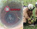 Bomberos de Zapopan rescataron a un perro que había caído en un pozo en un predio. ESPECIAL / X: @UMPCyBZ