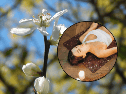 De acuerdo con un artículo de la Universidad Nacional Autónoma de México, su nombre proviene del árabe 