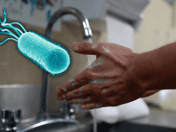 Para prevenir este tipo de infección es crucial mantener un correcto lavado de manos y de los alimentos. NTX / ARCHIVO