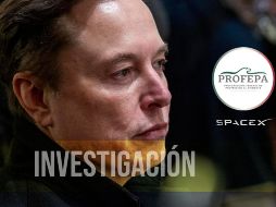 Defenderán el patrimonio nacional natural ante la amenaza de SpaceX de Elon Musk. EFE / ARCHIVO