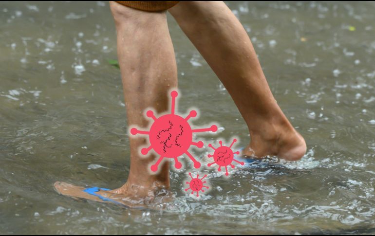 Es importante informarse sobre la manera en que deben evitarse o tratarse en caso de llegar a padecerlas. ESPECIAL / CANVA