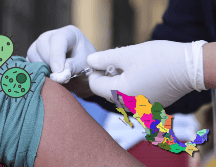 Estos son los estados con mayor número de casos de tosferina. EL INFORMADOR / ARCHIVO