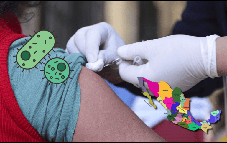 Estos son los estados con mayor número de casos de tosferina. EL INFORMADOR / ARCHIVO