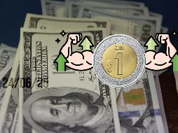 El peso mexicano confirma su buena apertura frente al dólar hoy martes 24 de junio. EL INFORMADOR / ARCHIVO