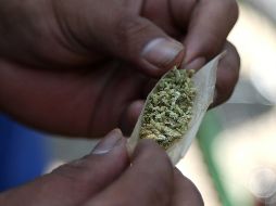 La marihuana es una droga cada vez más consumida en México. Foto: ARCHIVO/SUN/Carlos Mejía/EELG