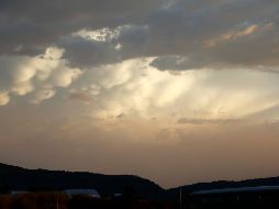 ARCHIVO/ EL INFORMADOR