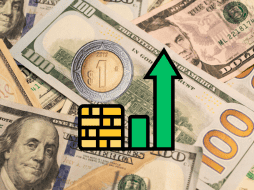 En términos semanales, la moneda estadounidense acumuló una caída del 1.53%. CANVA