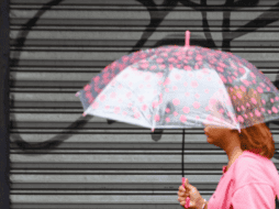 Las autoridades mantienen un monitoreo constante en tiempo real de su trayectoria y evolución. EL INFORMADOR / ARCHIVO