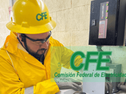 Este corte responde a la necesidad de crear condiciones adecuadas para que el personal técnico de la CFE realice mejoras en la infraestructura eléctrica. ESPECIAL/CFE