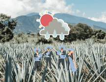 Los Pueblos Mágicos de Jalisco ofrecen una experiencia inigualable. EL INFORMADOR/ ARCHIVO