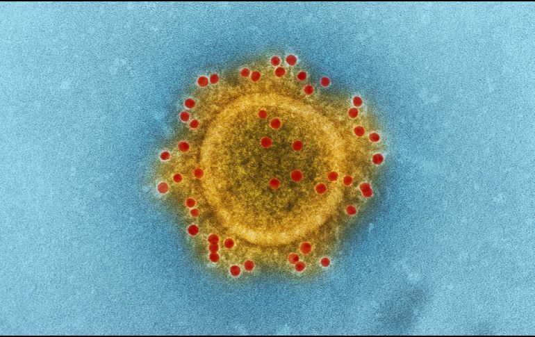 Por ejemplo, la hipótesis de que el virus de la COVID-19 se originara por una fuga en un laboratorio continúa sin poder ser descartada. UNSPLASH / CDC