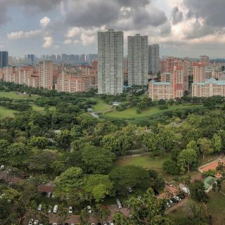 Cambio climático pone en RIESGO a miles de especies de árboles: expertos