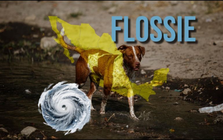 Se forma tormenta tropical Flossie; este será su desplazamiento por las costas de México. EL INFORMADOR / ARCHIVO