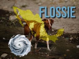 Se forma tormenta tropical Flossie; este será su desplazamiento por las costas de México. EL INFORMADOR / ARCHIVO