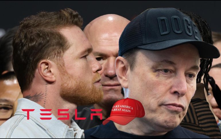 Esto dijo Saúl Álvarez sobre la presunta oferta millonaria de Tesla de Elon Musk. EFE  / ARCHIVO