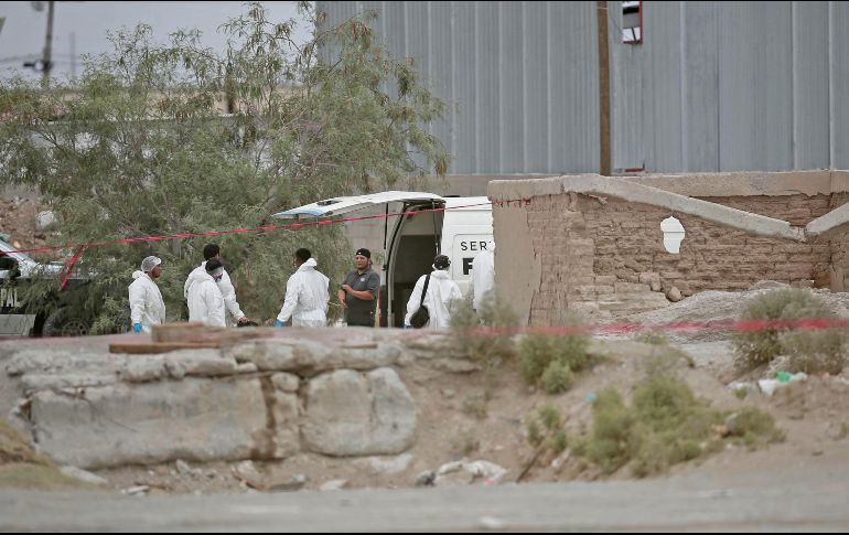 Autoridades señalan que algunos cuerpos estaban embalsamados. EL UNIVERSAL