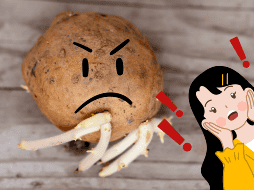 Las patatas germinadas no deben tomarse a la ligera. Aunque en muchos hogares se suelen aprovechar sin pensarlo, es esencial revisar su aspecto y textura antes de cocinarlas.  CANVA