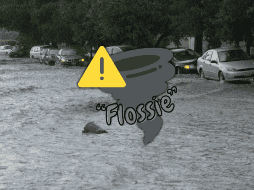 “Flossie” se desplaza paralelamente a las costas del Pacífico mexicano ahora como un huracán de categoría 2 en la escala Saffir-Simpson. EL INFORMADOR / ARCHIVO