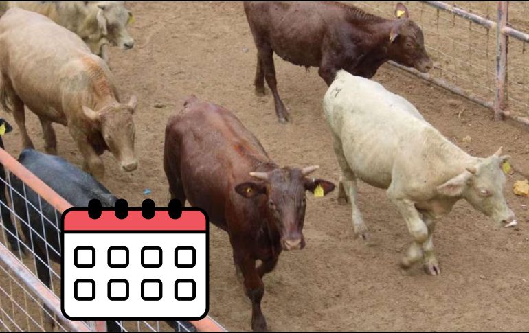 La reapertura de frontera será por fechas. SUN / ESPECIAL