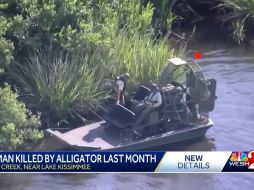 Este desafortunado suceso pone de manifiesto los peligros inherentes a la interacción con la fauna silvestre en zonas naturales, especialmente en estados como Florida, donde especies como el caimán forman parte del entorno. ESPECIAL