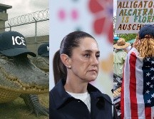 No es la primera vez que Sheinbaum cuestiona las políticas migratorias de Trump, con quien, pese a las diferencias, ha mantenido una relación cordial. EFE / M. Guzmán / ARCHIVO