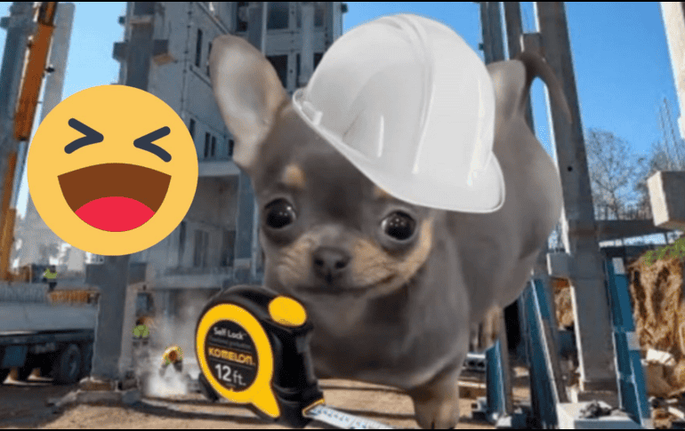 Las redes sociales están inundadas de memes muy ingeniosos y divertidos por el Día del Ingeniero. X/ESPECIAL