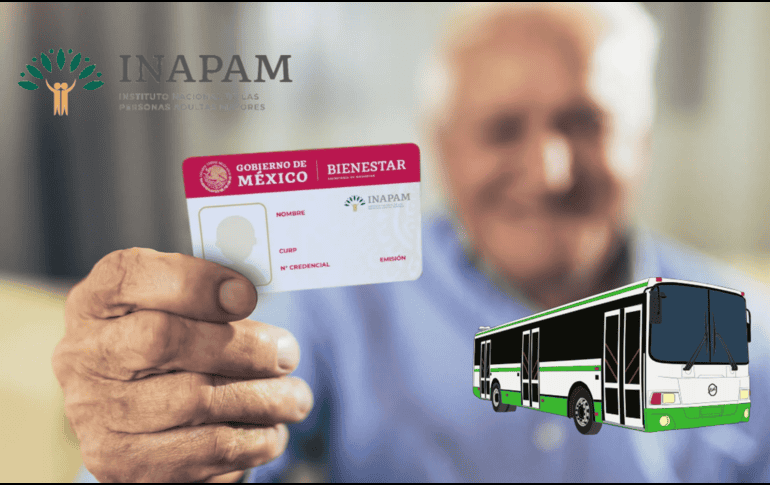 ¿Qué servicios de transporte ofrecen descuento con la tarjeta INAPAM en CDMX y Edomex? ESPECIAL / GOB MX