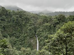 Costa Rica es ¡Pura Vida!. ESPECIAL/X. MARTÍNEZ.