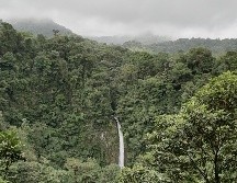 Costa Rica es ¡Pura Vida!. ESPECIAL/X. MARTÍNEZ.