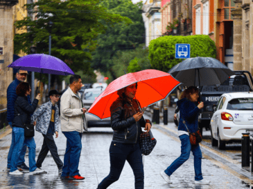 En la cuenca del Pacífico, se han registrado -hasta el momento- tres tormentas tropicales: "Alvin", "Cosme" y "Dalila"; además de tres huracanes: "Bárbara", "Erick" y "Flossie". EL INFORMADOR / A. Navarro