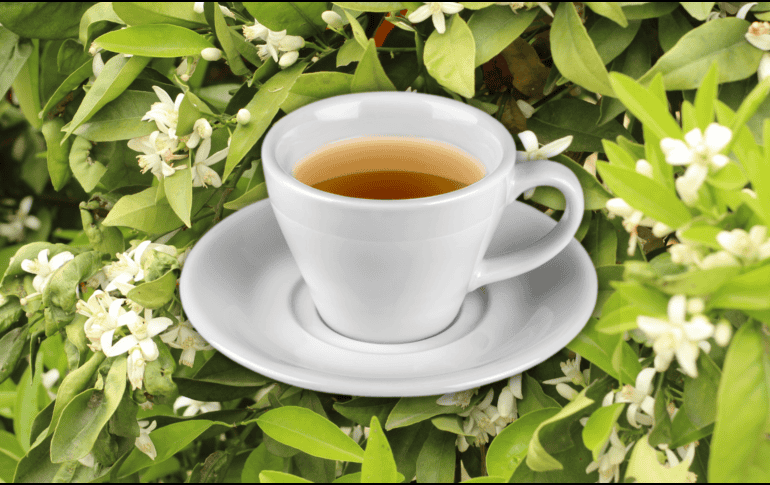 Esta infusión puede disminuir los niveles de ansiedad, ya que actúa sobre el sistema nervioso y lo relaja. ESPECIAL / CANVA