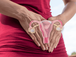 Es importante para la mujer menstruar cada mes sin excepción; cuando no ocurre así, padece alguna enfermedad. ESPECIAL / CANVA