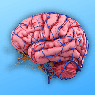 Ejercicios para el CEREBRO que recomienda el IMSS
